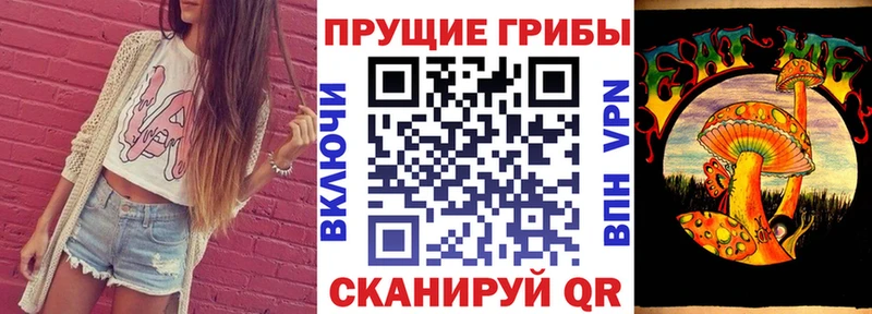 blacksprut ТОР  Кудрово  Псилоцибиновые грибы GOLDEN TEACHER 